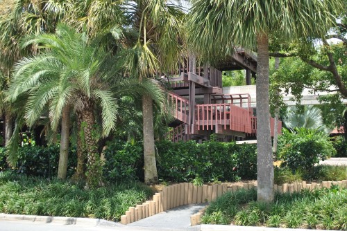 One Perfect Lunch In Kona Cafe At The Polynesian Resort