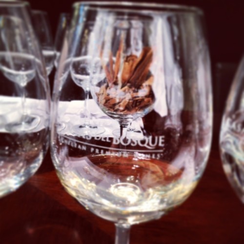 Casas del Bosque wine glass