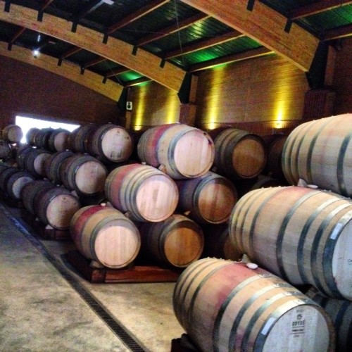 wine barrels