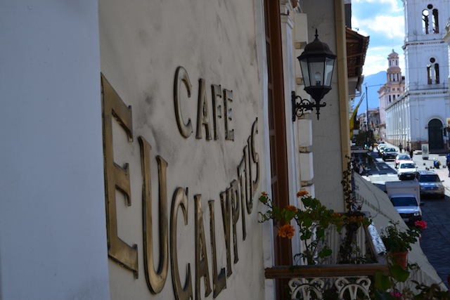 Café Eucalyptus Cuenca Ecuador