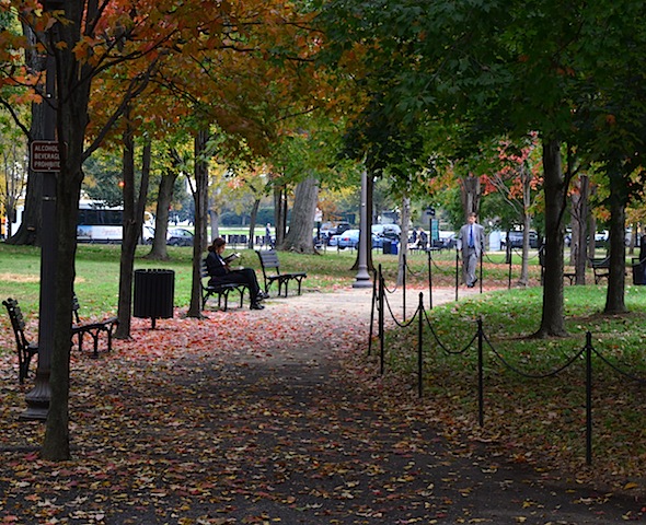 Fall colors in Washington DC