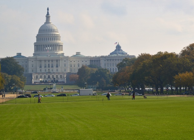 Fall colors in Washington DC