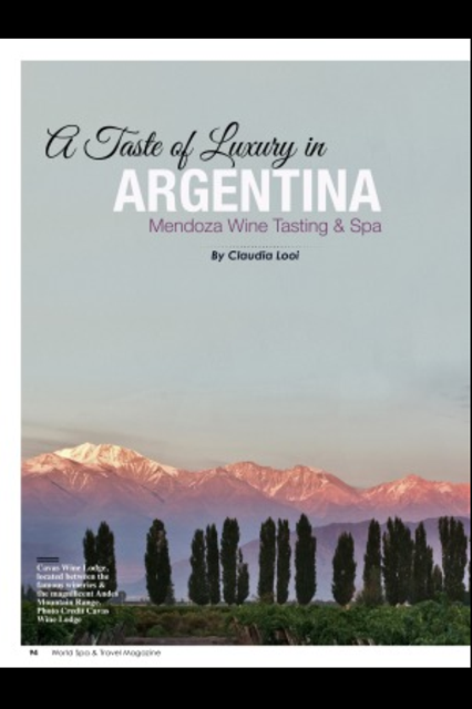 Protected: A Taste of Luxury in Argentina: Mendoza Wine Tasting and Spa