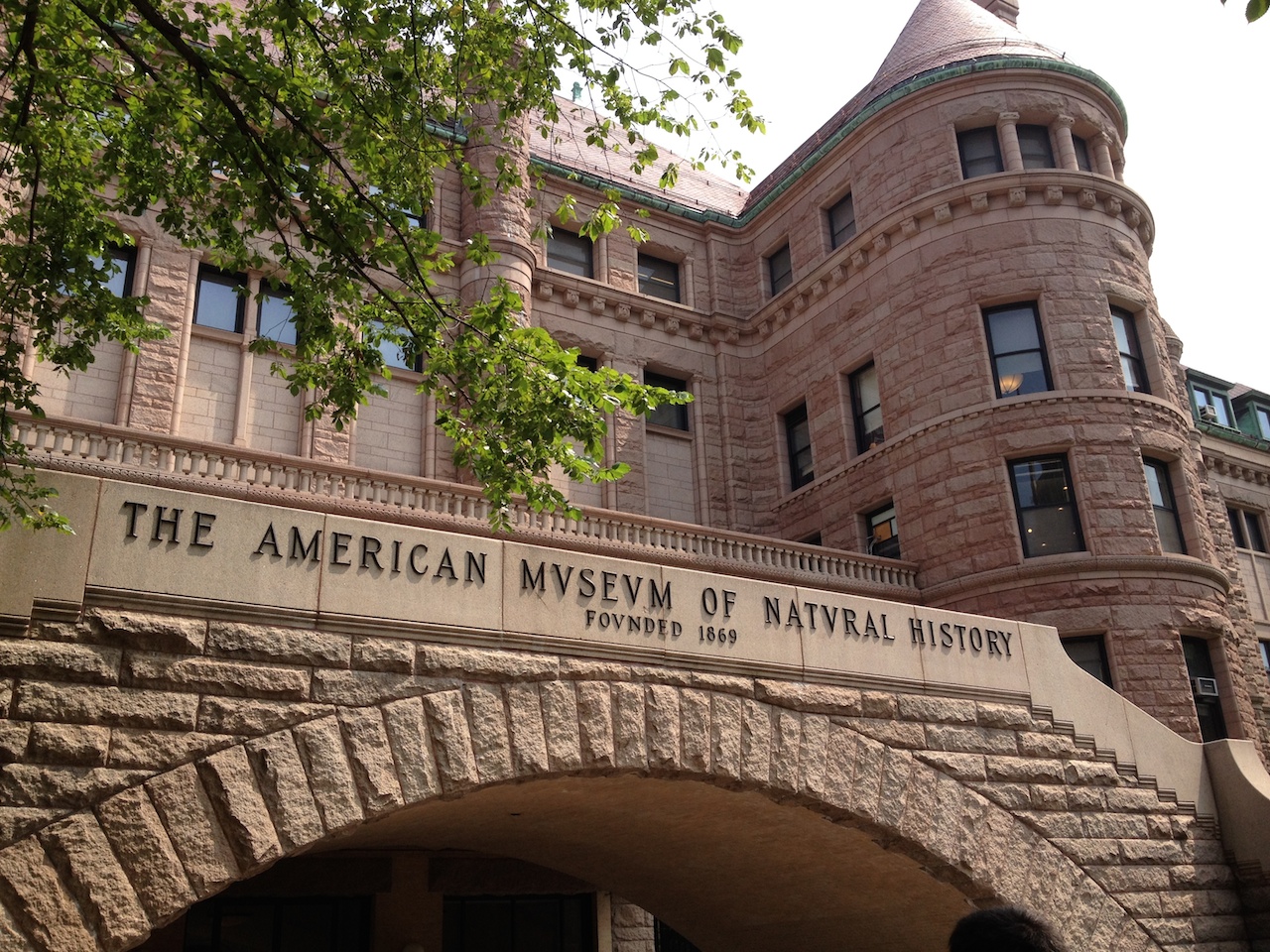 American Natural History Museum