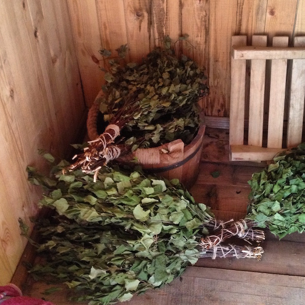 dried birch leaves for the banya