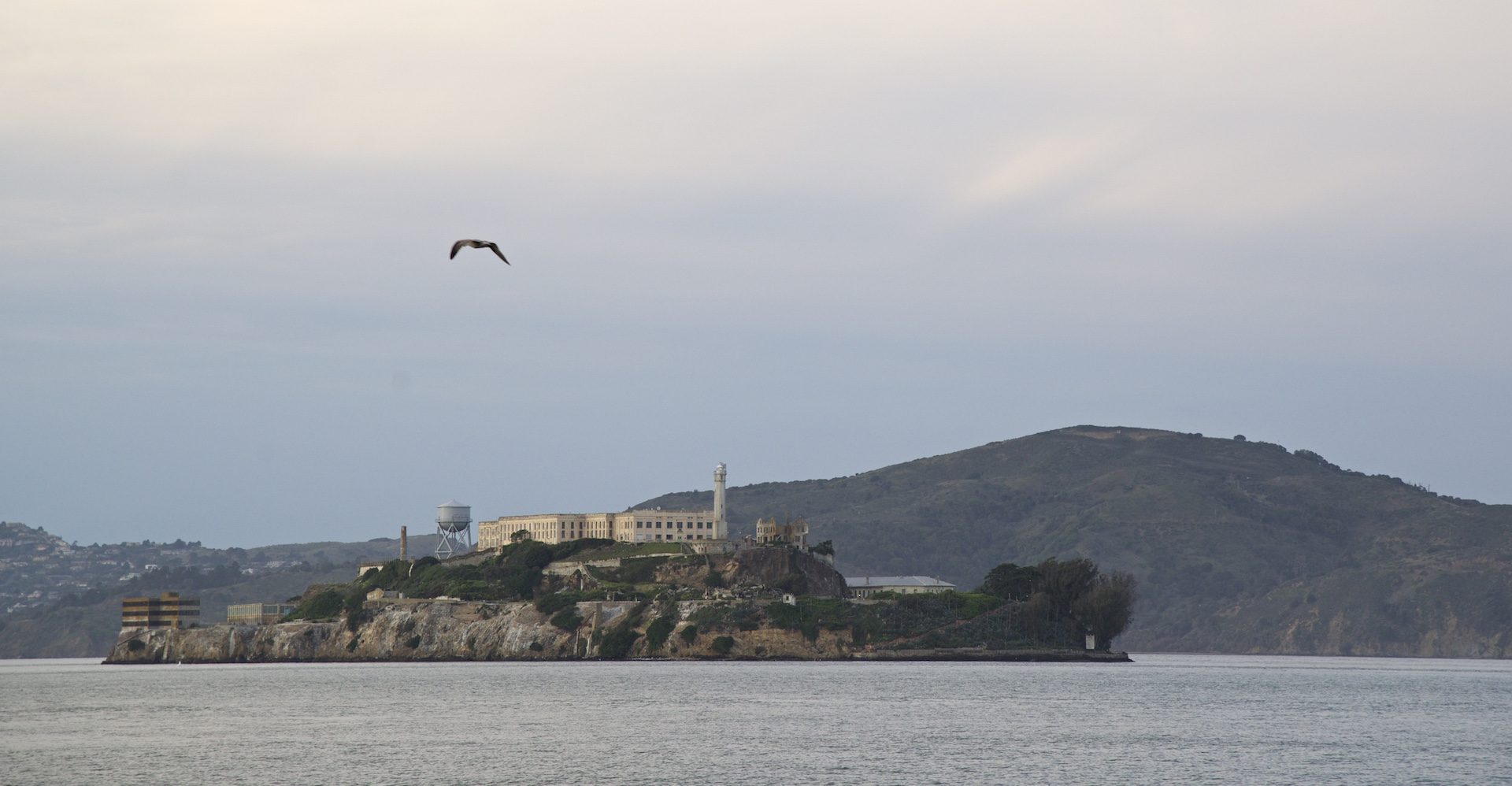 DSC_Alcatraz