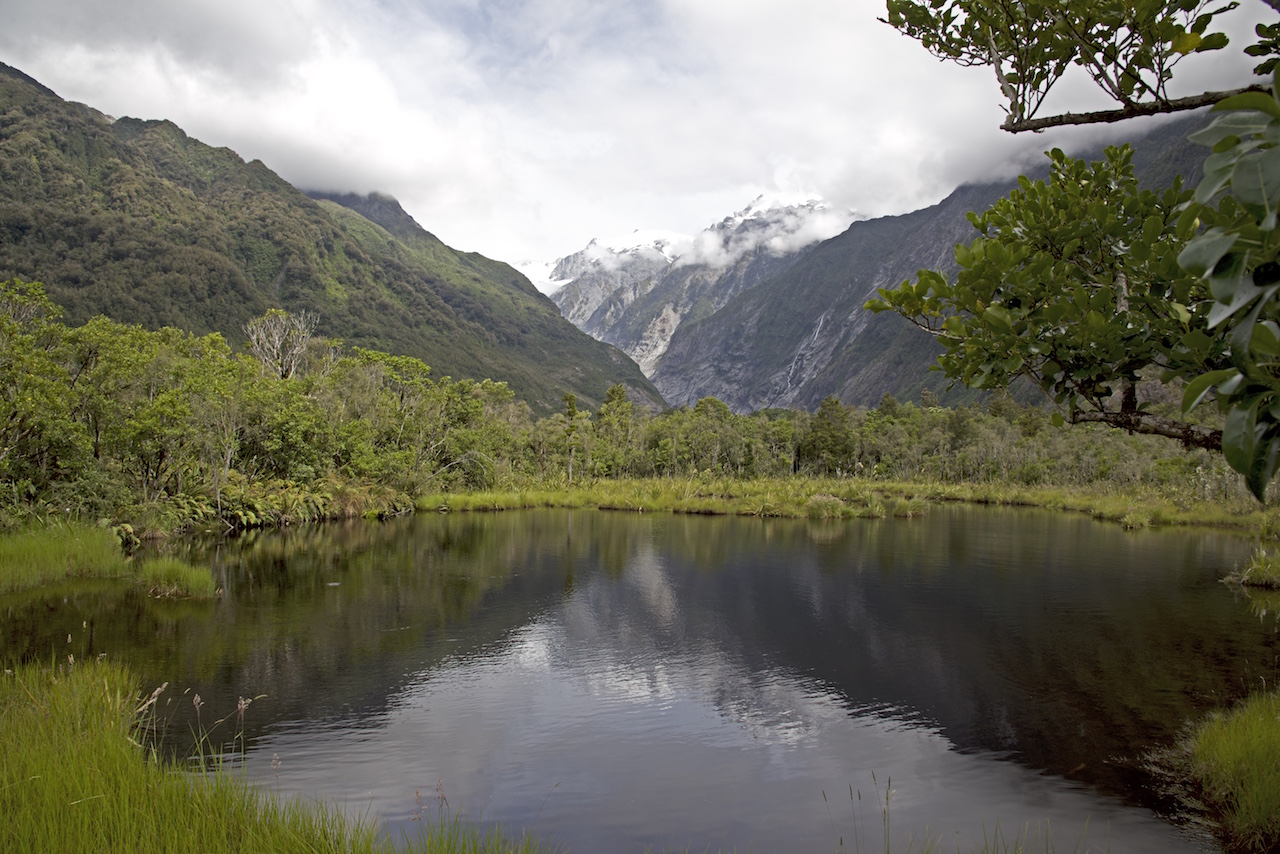 Peter's Pool, a kettle lake where you can see the reflection of Franz Josef Glacier. Years ago, the glacier stretched across this valley. This pool is still evolving. I'm not sure if the next generation will see the reflection of Franz Josef Glacier here.