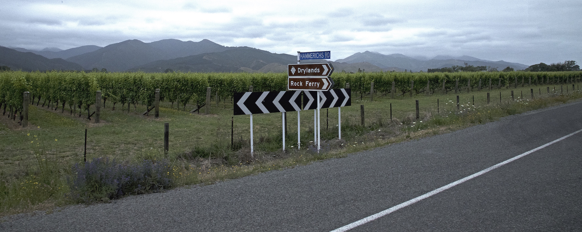 South Island New Zealand Road Trip Told Through 30 Photos