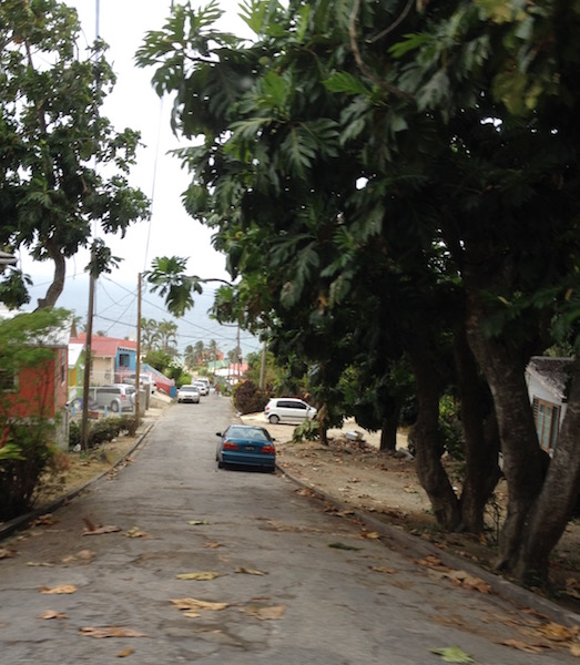 A neighborhood in Barbados