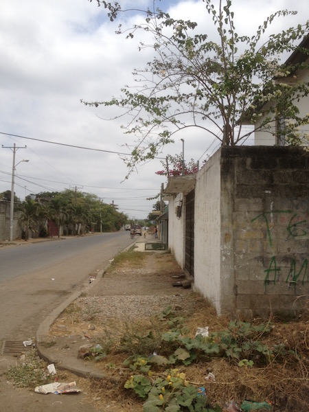 Chongon Ecuador