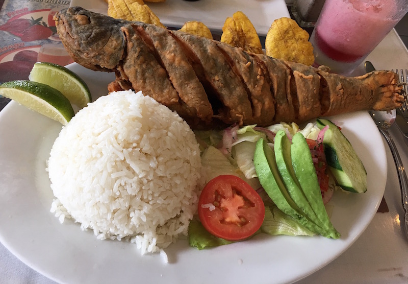 Trucha frita at Ecuadorian restaurant in Astoria